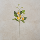 Lemon and Foliage Stem