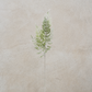 Real Touch Ostrich Fern Stem