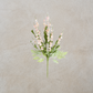 Light Pink Lavender Spray