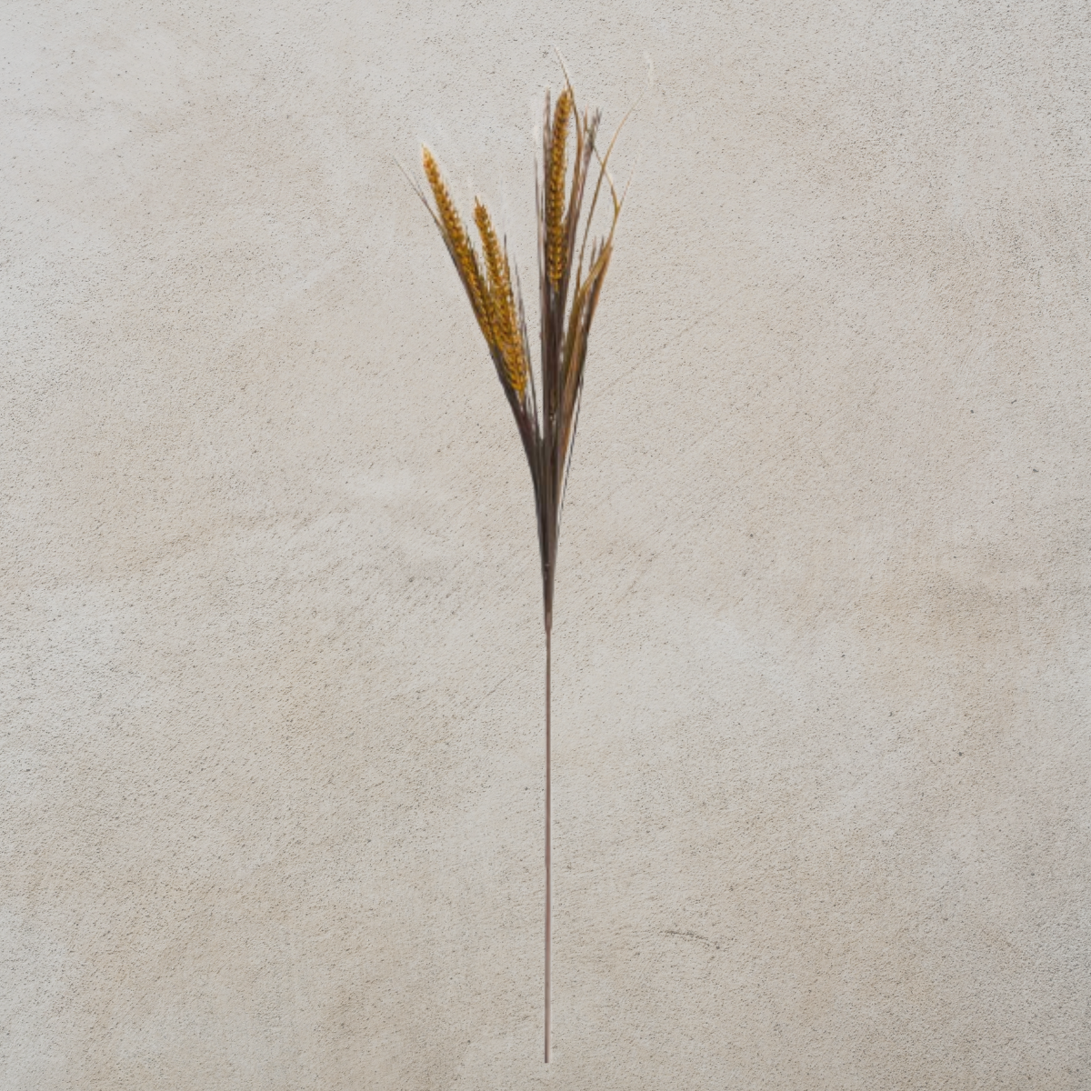 Brown Wheat Grass Spray
