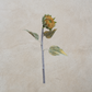 Faux Sunflower Stem