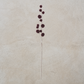 Burgundy Billy Ball Spray