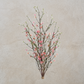Pink Leptospermum Bundle