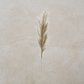Sage Faux Pampas Grass Plume