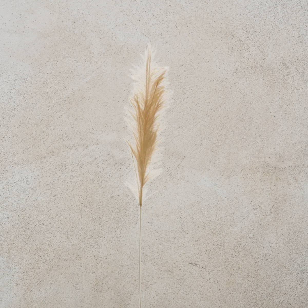 Faux Pampas Grass Plume