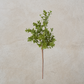 Real Touch Boxwood Pick