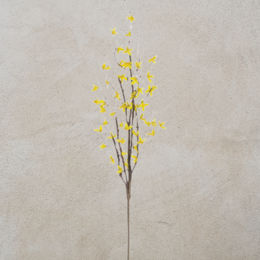 Forsythia Spray