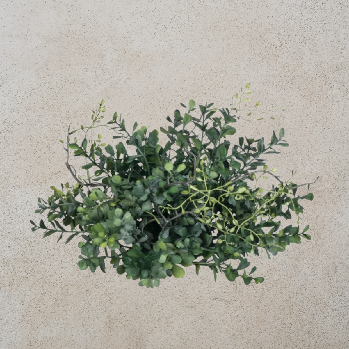 Blue Boxwood Orb