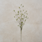 Leaf Foliage Spray