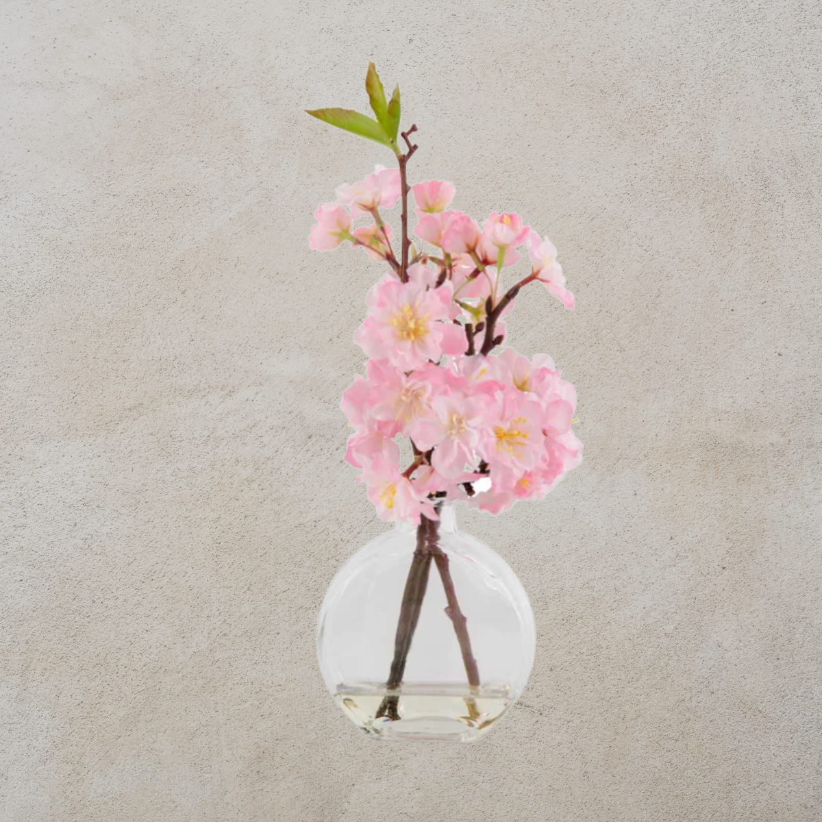 Pink Cherry Blossom In Flat Round Glass Vase