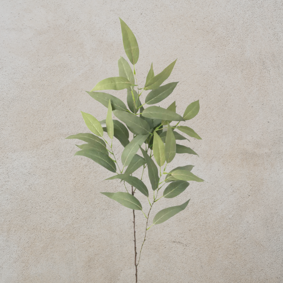 Eucalyptus Leaf Spray