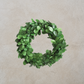 6" Round Boxwood Wreath