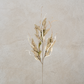 Pepperberry Cornhusk Stem