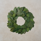 Magnolia Leaf Wreath