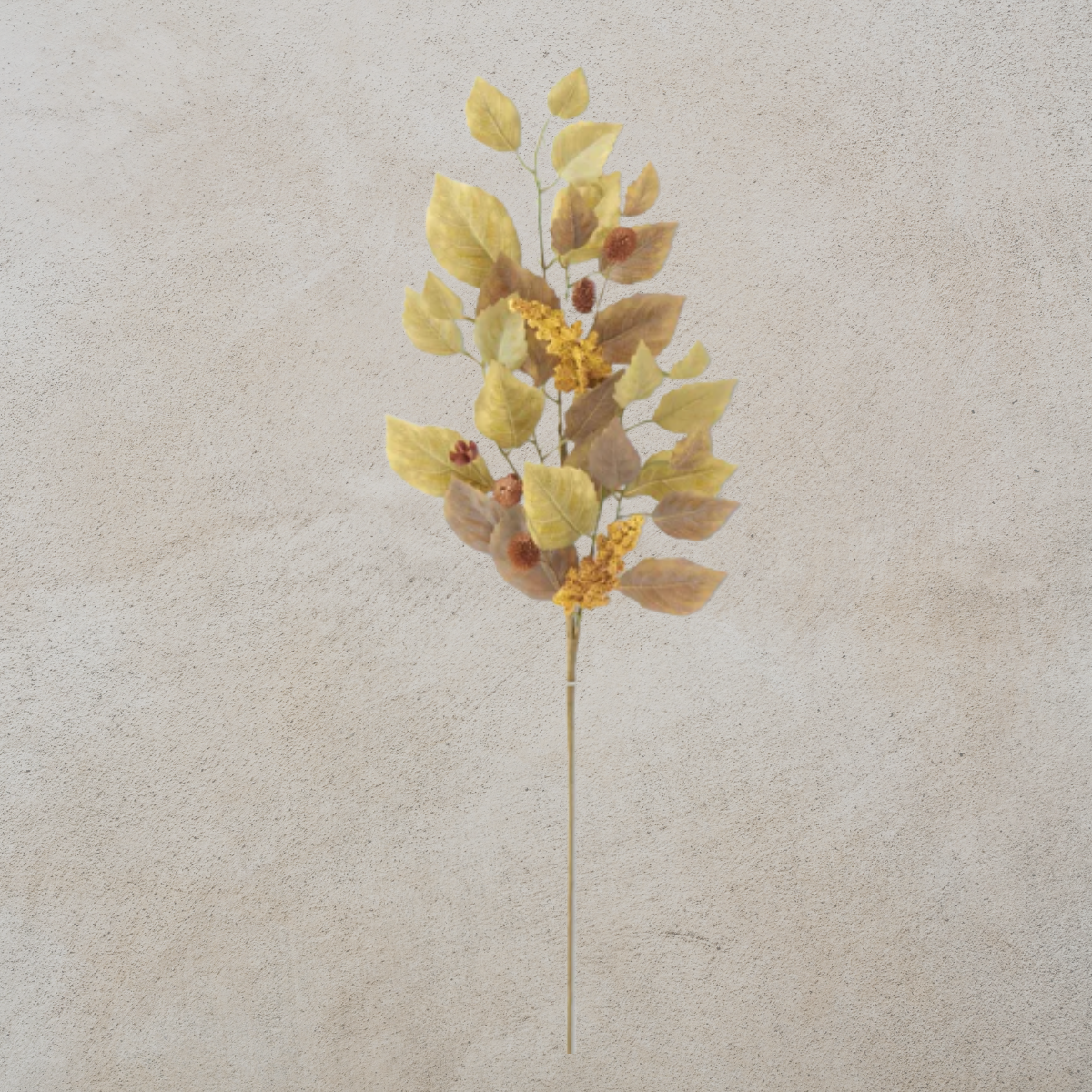 Green Birch Leaves Stem