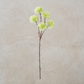 Flower Ball Stem