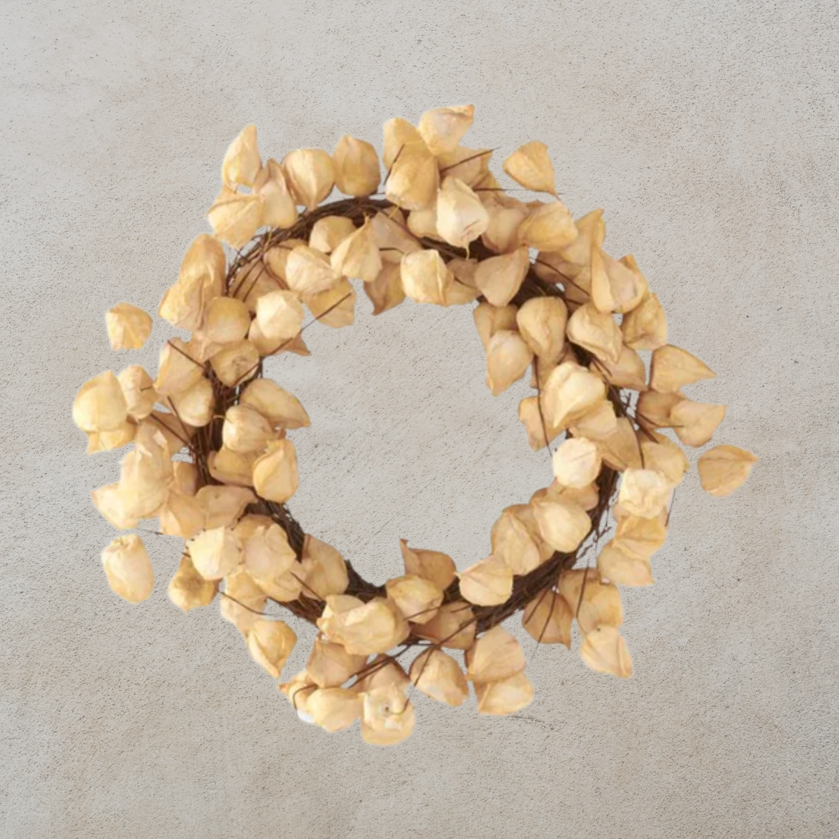 Chinese Lantern Wreath on Vine Base