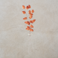 Orange Chinese Lantern Bundle