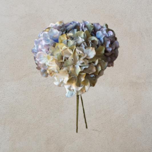Late Season Blue Hydrangea