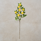 Lemon & Foliage Spray