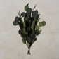 Dried Eucalyptus Bundle