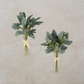 Eucalyptus Bundle