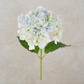 Light Blue Hydrangea Stem