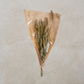 Dried Natural Setaria Bundle