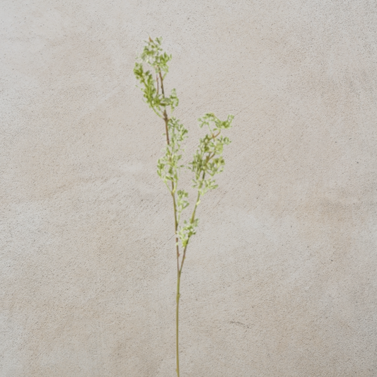Powdered Green Bud Stem