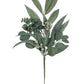 California Eucalyptus Pick
