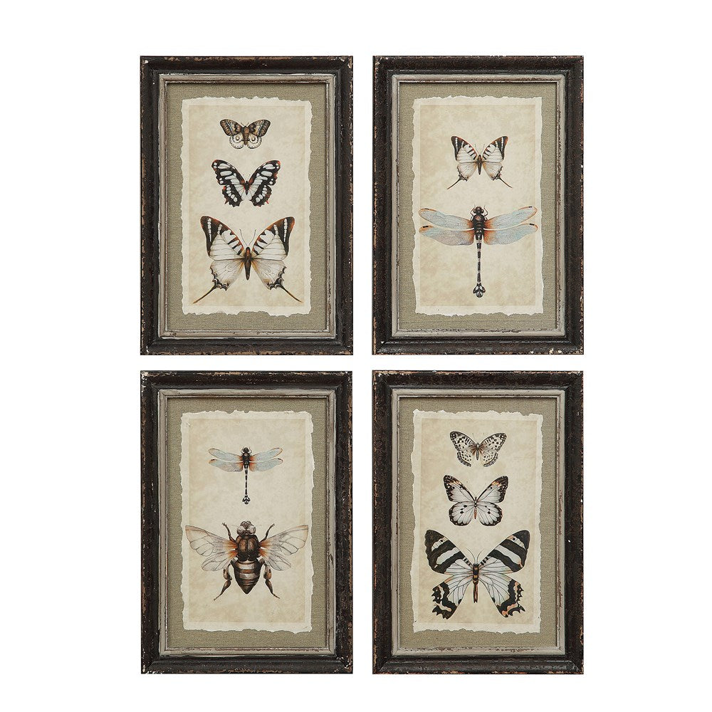 Vintage Insect Framed Prints