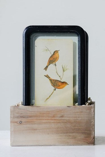 Framed Bird Wall Decor