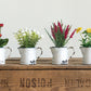 Flowers in Pitcher