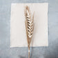 Handmade Dried Bunch