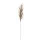 Sage Faux Pampas Grass Plume