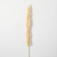 Plume Stem