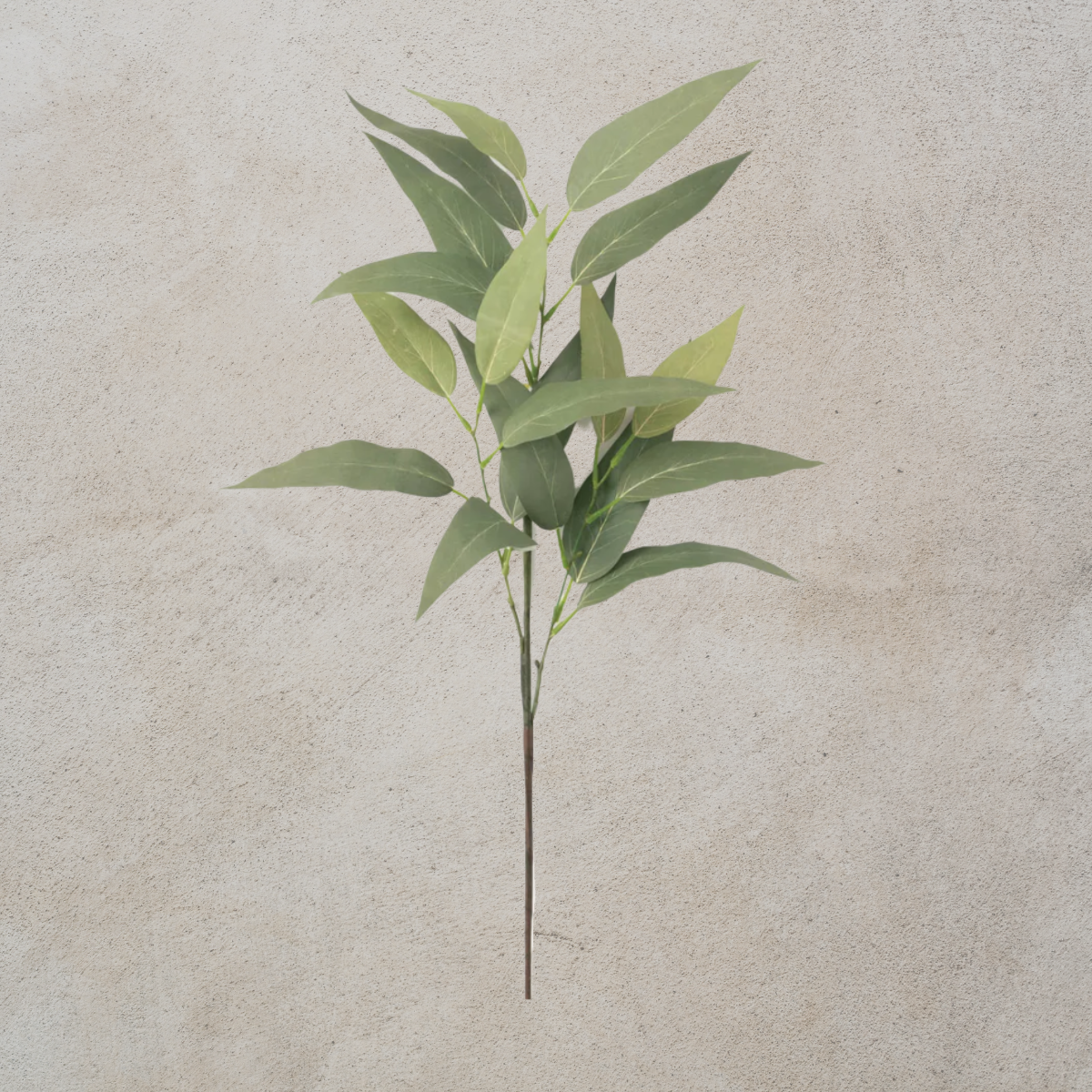 Eucalyptus Leaf Spray