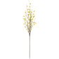 Forsythia Spray