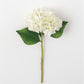 Short Hydrangea Stem