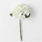 White Green Hydrangea Stem