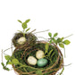 Double Nest with Eggs
