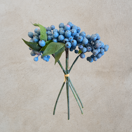 Blueberry Bundle