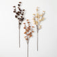 Fall Spray
